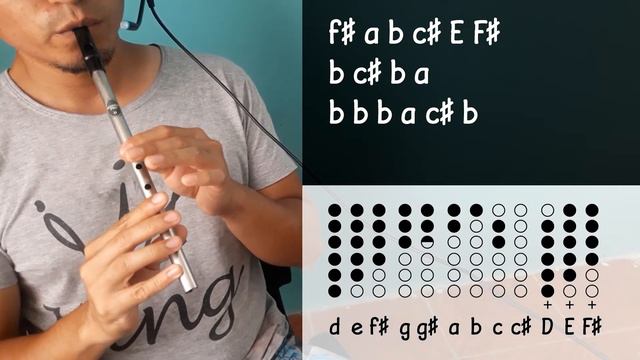 Only Time - Tin Whistle смотреть онлайн