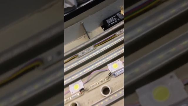 Какое освещение выбрать в аквариум.ч-1 смотреть онлайн