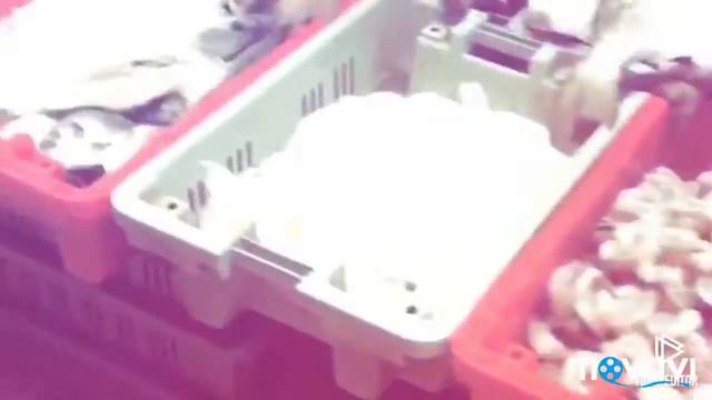 Israel Acre/Haifa🇮🇱 Travel around the country 🌊✈️ Израиль Акко/Хайфа, путешествия по стране 🤪 смотреть онлайн