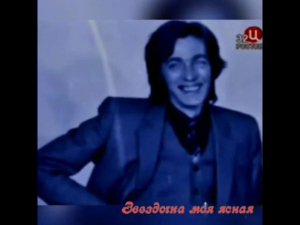 Цветы -  Звёздочка моя ясная