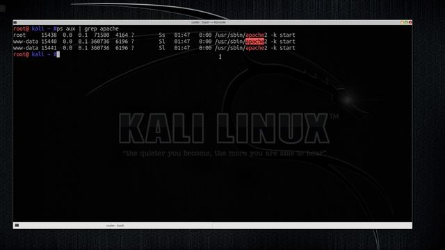 11 Filtering output with grep in kali linux смотреть онлайн