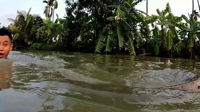Smart dog jumps into river to save owner from ferocious giant python. смотреть онлайн
