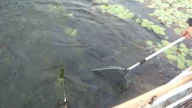 Ловля Щуки на Ангаре смотреть онлайн