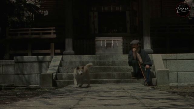 KISAH NYATA ANJING PALING SETIA DI DUNIA - Alur Film HACHIKO (1987) смотреть онлайн