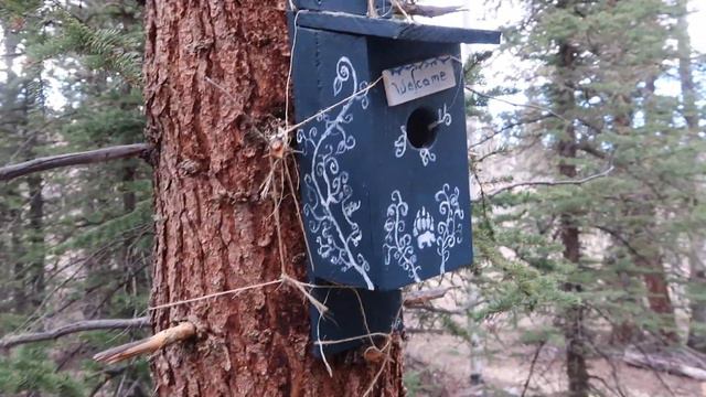 1st Night At My Canvas Tent - Glamping in Canvas Tent - Spirit Forest -Pt-1 S3 -Ep#41 смотреть онлайн