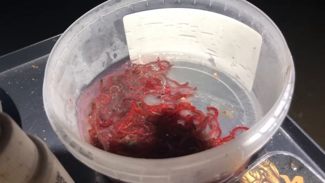 ФИДЕР в Апреле / НОЧНЫЕ МОРОЗЫ / Рыбалка на КРУПНОГО КАРАСЯ смотреть онлайн