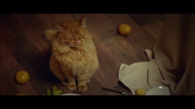 Goods – Барсик смотреть онлайн