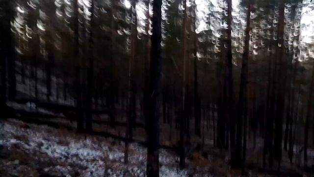 РЕАЛЬНАЯ ОХОТА С ПОДХОДА НА СИБИРСКУЮ КОСУЛЮ REAL HUNTING WITH THE APPROACH OF THE SIBERIAN ROE DEE смотреть онлайн
