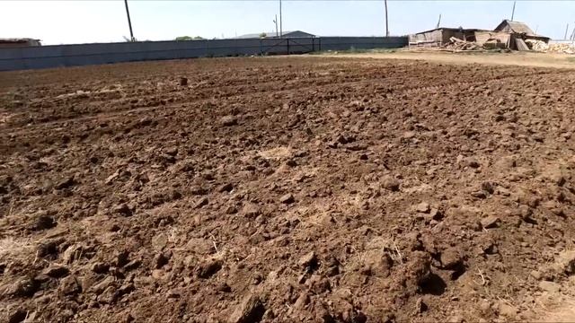 3-5.06.2023 +49 на солнце Варим, возим, кормим бычков. смотреть онлайн