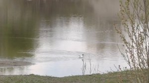 Кровообращение головы и шеи  Настрои академика Сытина Г.Н.