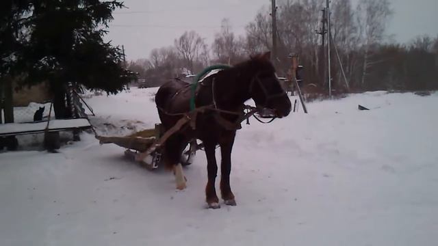 Русская зима смотреть онлайн