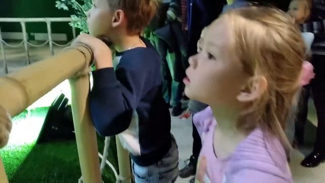 Динопарк в Новосибирске