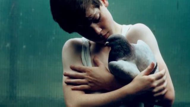 Люди и животные. Что случается, если детей воспитывают животные или птицы? смотреть онлайн