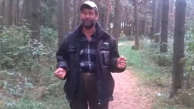 бич поёт смотреть онлайн