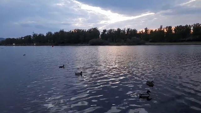 17 мая 2022 г. смотреть онлайн