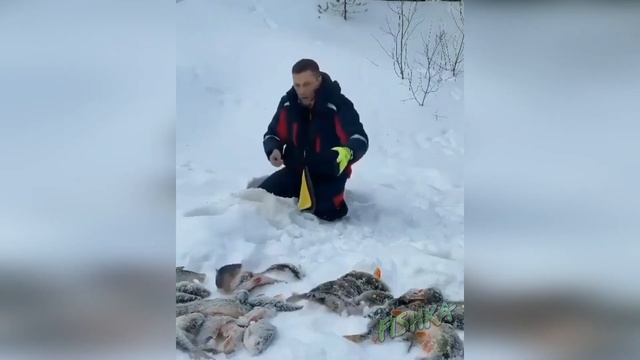 Приколы на Рыбалке 2021 до слез / Неудачи на Рыбалке / Новые Приколы на Рыбалке [2021] /Рыбалка 202 смотреть онлайн