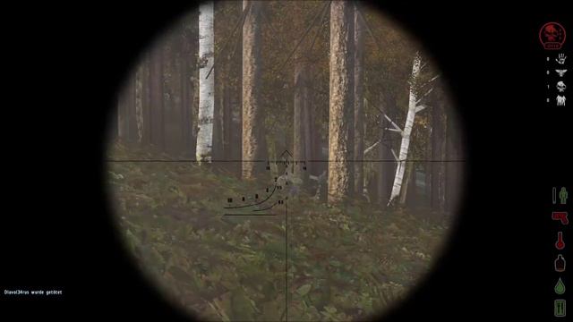 DayZ Origins - Kills der letzten Tage смотреть онлайн