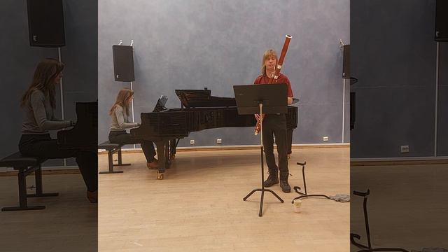 Vivaldi Bassoon concerto in d-minor rv. 481 II. Larghetto смотреть онлайн