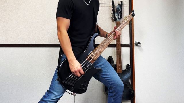 Lady Gaga - Bloody Mary || Bass Cover смотреть онлайн