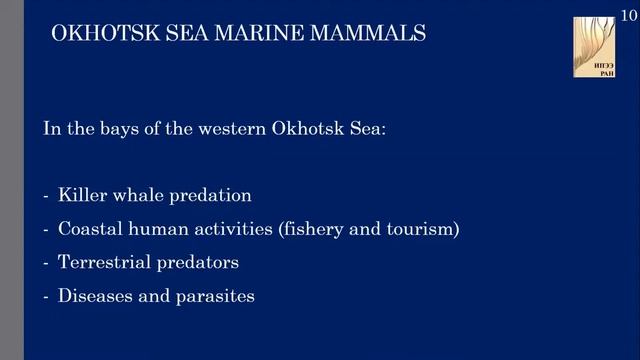 Шпак Ольга "Охотское море как модель для исследования влияния климата на полярные виды мормлеков" смотреть онлайн