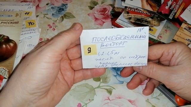 ??КАКИЕ ТОМАТЫ БОЛЬШЕ ВЫРАЩИВАТЬ НЕ БУДУ смотреть онлайн