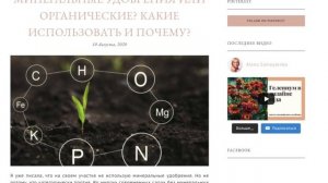 Вырастить голубику в саду - ПРОСТО!!! Нужно знать несколько ее особенностей.