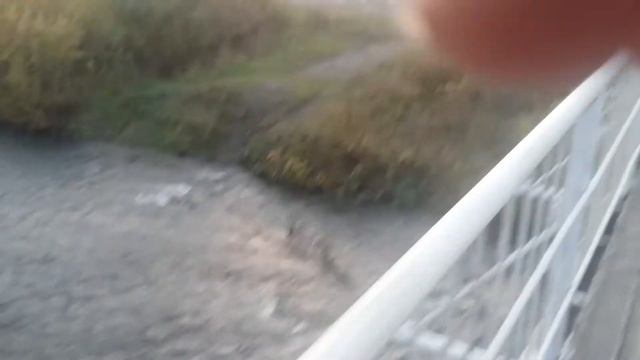 С Мохово р. Мереть смотреть онлайн