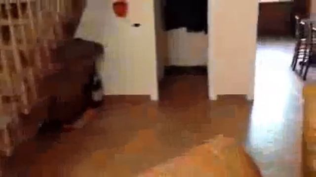 Подобрать дом в Самаре смотреть онлайн