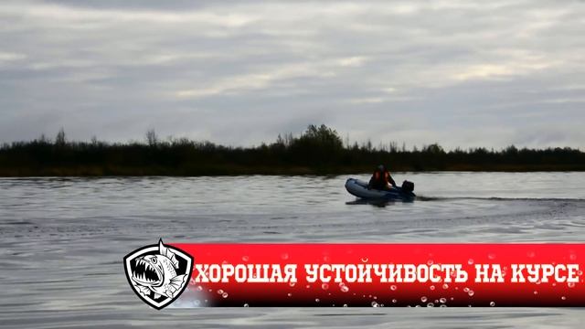 Легкая, мобильная и маленькая килевая лодка СТЕЛС 255. Тест с 5 - ти сильным мотором смотреть онлайн