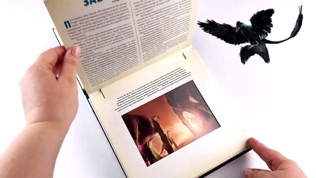 ДИНОЗАВРЫ: ФОТИКУЛЯРНАЯ КНИГА / VERA PEK смотреть онлайн