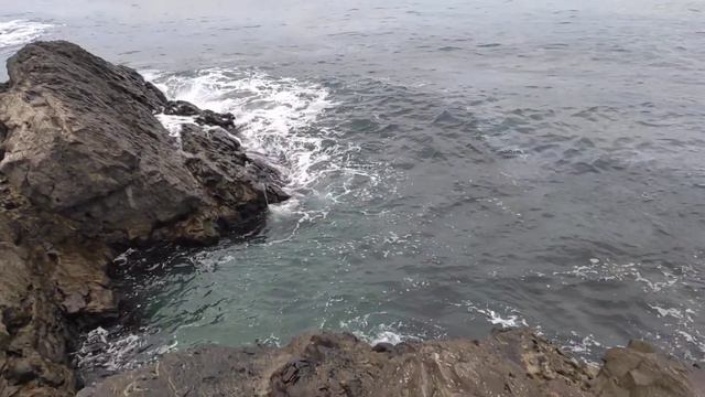 Остров Артём #море #зима #холод смотреть онлайн