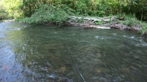 Рыбалка в Приморье. Река Журавлевка. Хариус, ленок. 19 - 23.07.2021 г. Часть 1.