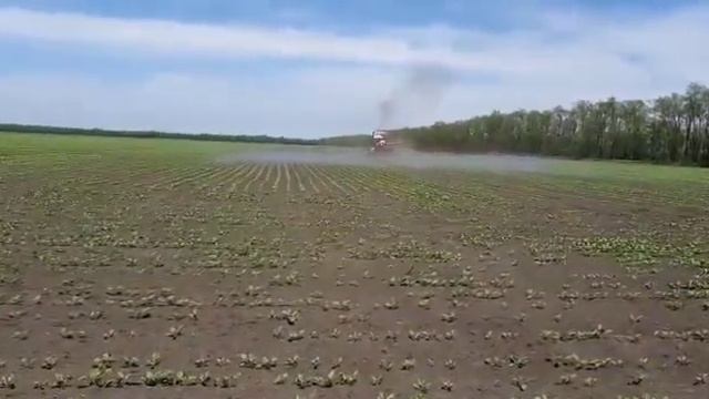 Обработка сахарной свёклы, начальные этапы. Агрифос Яра+ Филлотон (Антистресс) смотреть онлайн