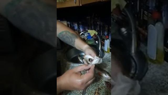 Как быстро почистить рыбу смотреть онлайн