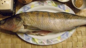 Почему рыбу нельзя ловить в заболоченных водоемах и каналах?