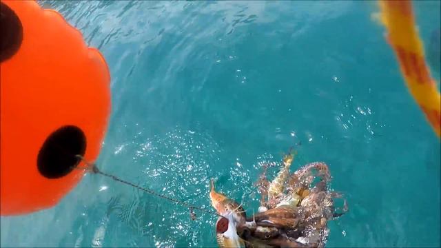 First Sails of Summer! (Sailing with Kukumatz) - Ep. 1 смотреть онлайн