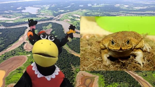 Жаба ага смотреть онлайн