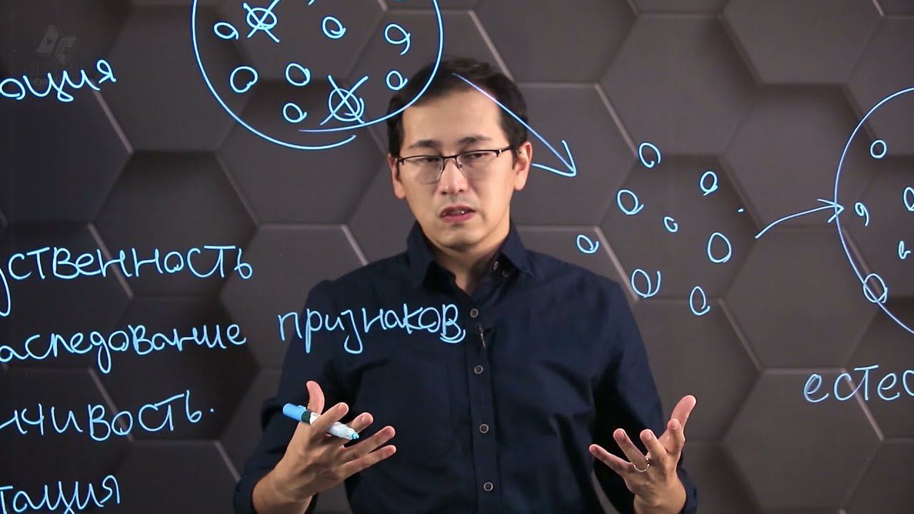 Взаимосвязь между наследственной изменчивостью и эволюцией. 10 класс. смотреть онлайн