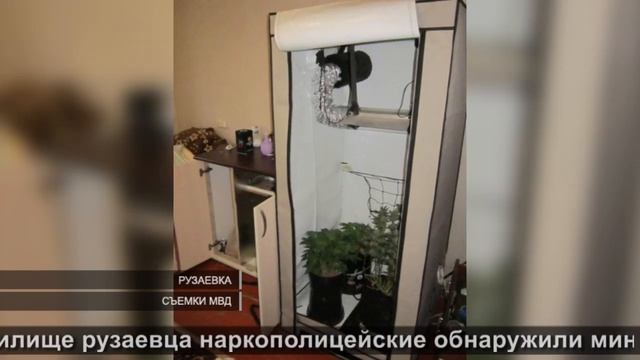 Домашняя плантация | Home plantation смотреть онлайн