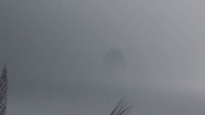 5 ГОДЗИЛЛ СНЯТЫХ НА КАМЕРУ - Lion Channel