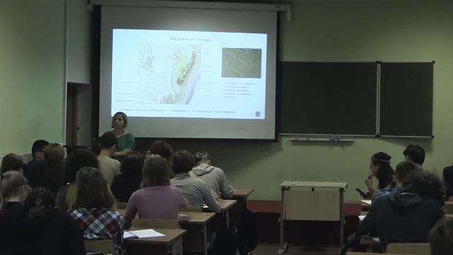 Биология. Зыбина А. М. 10-11 классы. Анатомия и физиология человека. Гистология. Часть 2 смотреть онлайн