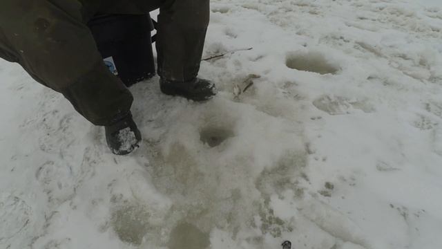 Первая рыбалка в 2022 году, или с мормышкой на реке Угре, Калужская область, январь 2022 смотреть онлайн