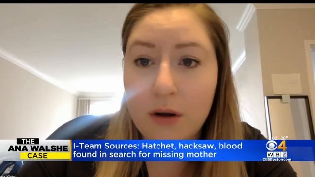 Friends, former co-worker react to developments in Ana Walshe case смотреть онлайн