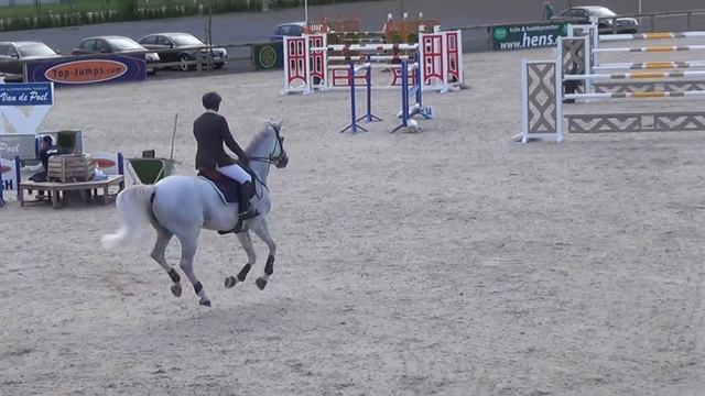 Gelding 8yro (CORDANO SITTE Z X DARCO) смотреть онлайн