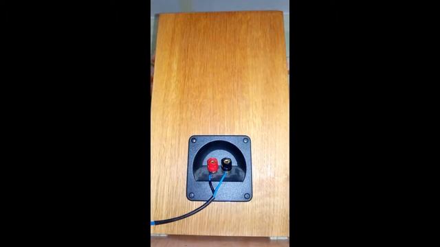 Sony 1 504 145 12 Goodmans TV Speakers 30W 8Ω5 смотреть онлайн