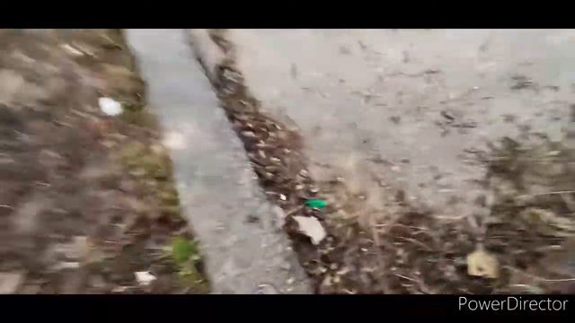 КОРМЛЮ БЕЗДОМНЫХ СОБАК смотреть онлайн