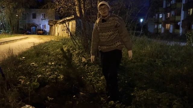 №652 ✨Последний день сентября ? Вечер ?Пересаживаем две маленькие сосны между кустиками калины ? смотреть онлайн