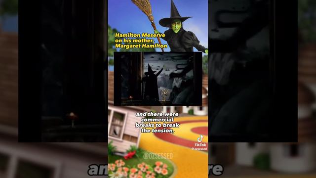 Hamilton Meserve talks about his mom Margaret Hamilton смотреть онлайн