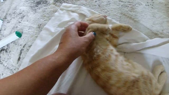 Курганинск 2023 / День с ДЕТЬМИ - учимся КАТАТЬСЯ на ВЕЛОСИПЕДЕ смотреть онлайн