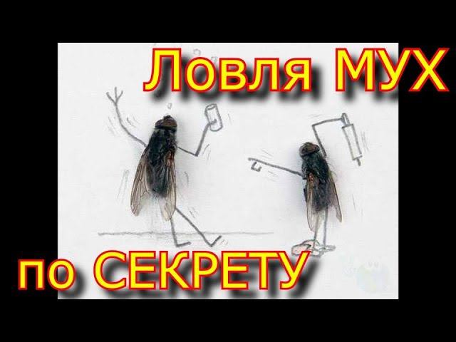 ✅ Как поймать Муху рукой, БАБУШКИН способ по секрету!!!\\ смотреть всем ловля мух!!! смотреть онлайн
